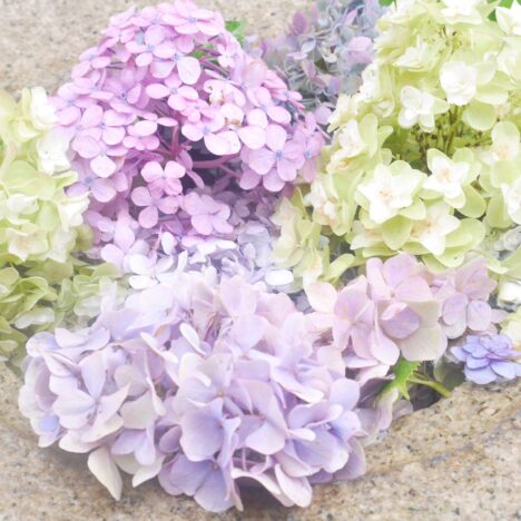 どんどん増えて行くワンピース達❤️